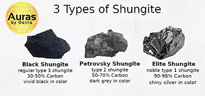 Shungite Bracelet for Men/Women Energy Shield Protection Beaded Bracelet 6/8/10mm Shungite Beads